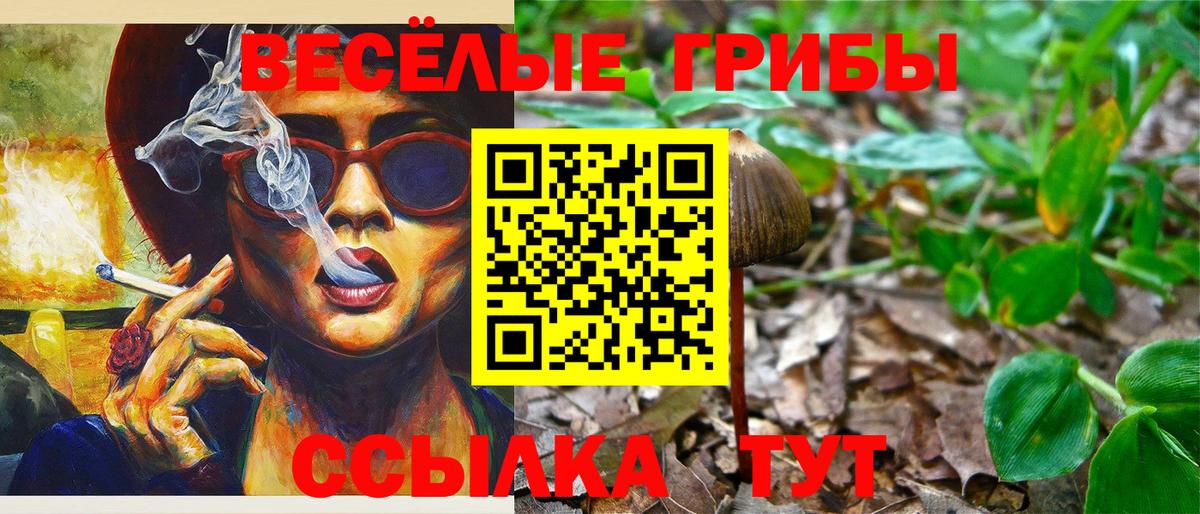 Кохма  Псилоцибиновые грибы мухоморы  хочу   Вход с VPN 