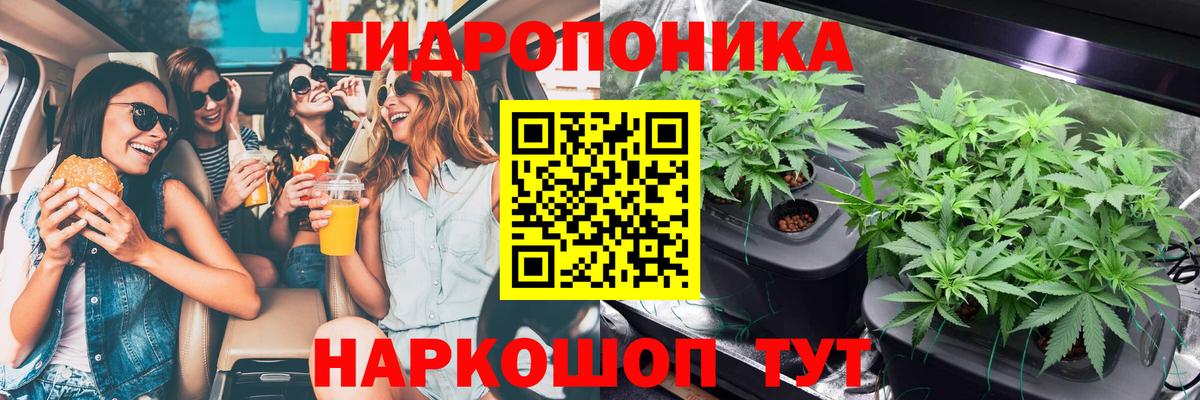Бошки Шишки конопля  Шишки марихуана индика  Вход с VPN  МАРИХУАНА планчик  Кохма  Бошки марихуана сатива 